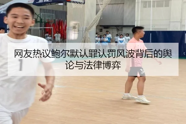 网友热议鲍尔默认罪认罚风波背后的舆论与法律博弈